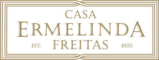Casa Ermelinda Freitas