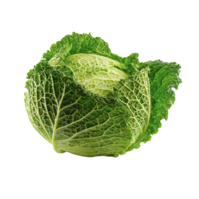 Portugiesischer Wirsingkohl - 1kg