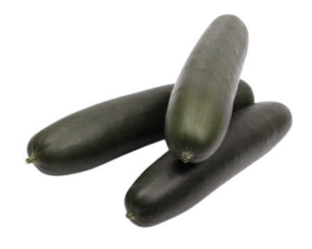 Gurke aus Portugal - 1kg