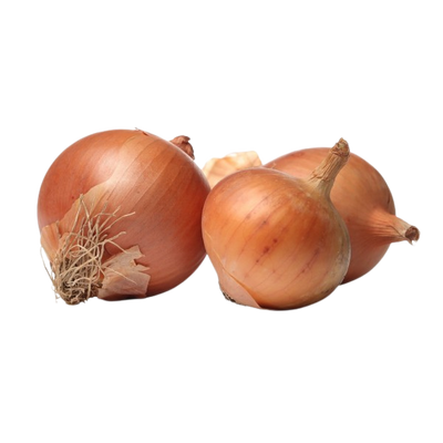 Zwiebeln "Nova Cebola" aus Portugal - 1kg