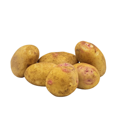 Rebhuhnaugenkartoffel aus Portugal - 1kg