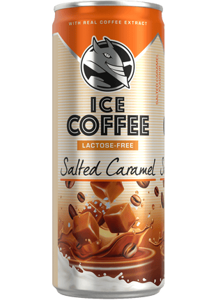 Energy Drink Salted Caramel - 250ml