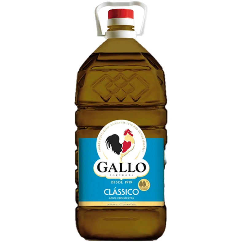 Gallo olive oil bottle on a white background