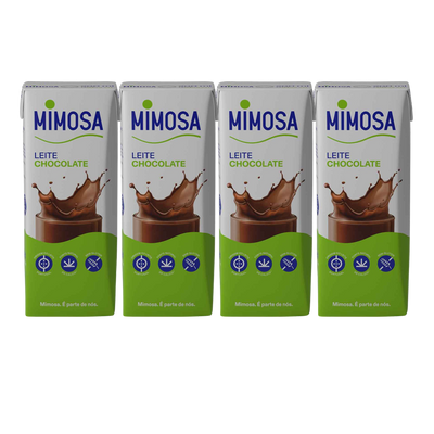 Schokoladenmilch – 200 ml