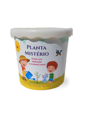Mystery Plant - Children