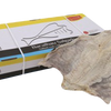 Large Norwegian Cod in Box - 15kg