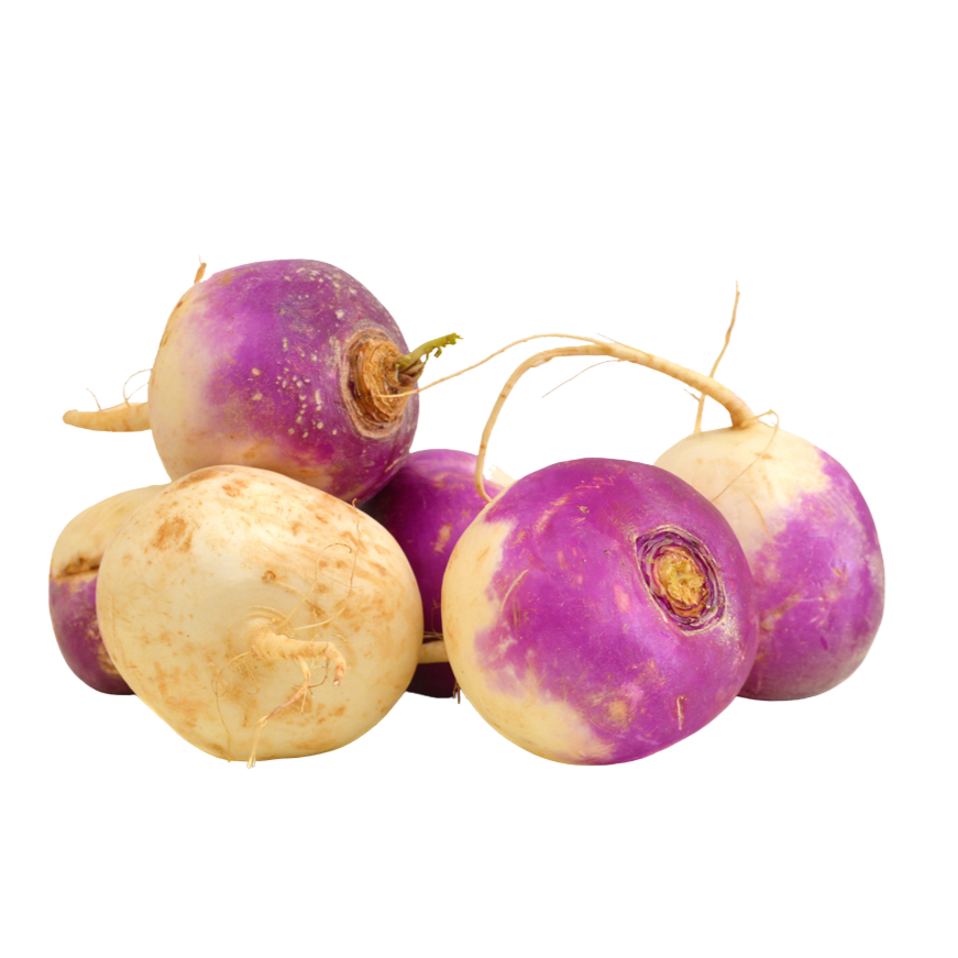 Turnip without Root from Portugal - 1kg