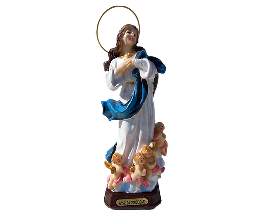 Image of Our Lady Conceição - 20cm
