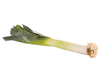 Leek from Portugal - 1kg