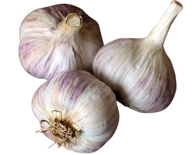 Dried Garlic from Portugal - 1kg