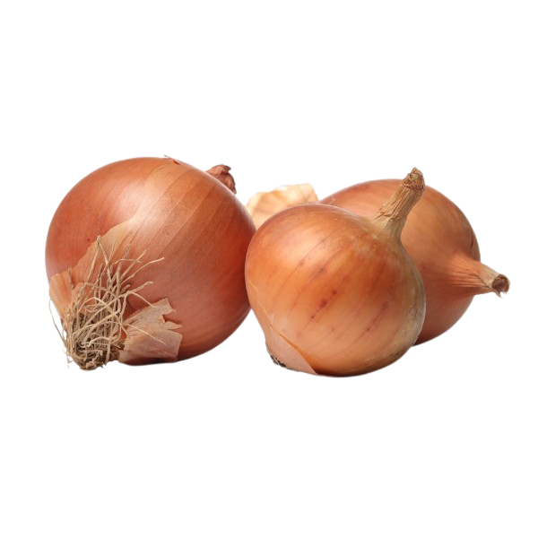 New Onion from Portugal - 1kg