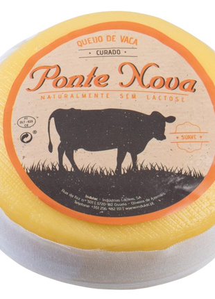 Butteriger Prato-Käse – 1,3 kg