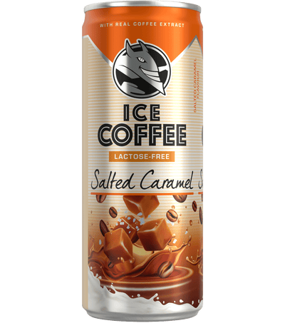 Energy Drink gesalzenes Karamell – 250 ml