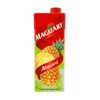 Maguary Abacaxi pineapple juice carton on a white background